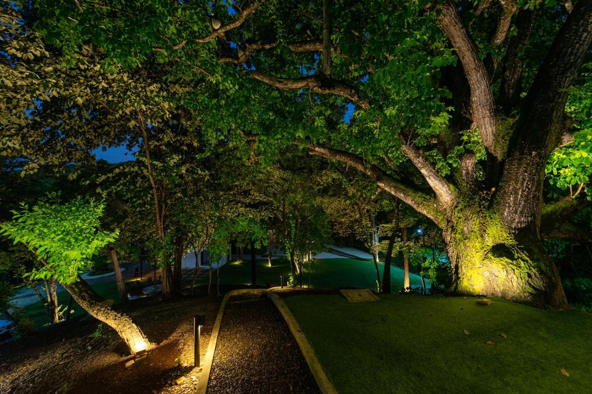 Epic Tamarindo Boutique Hotel Villarreal Exteriör bild